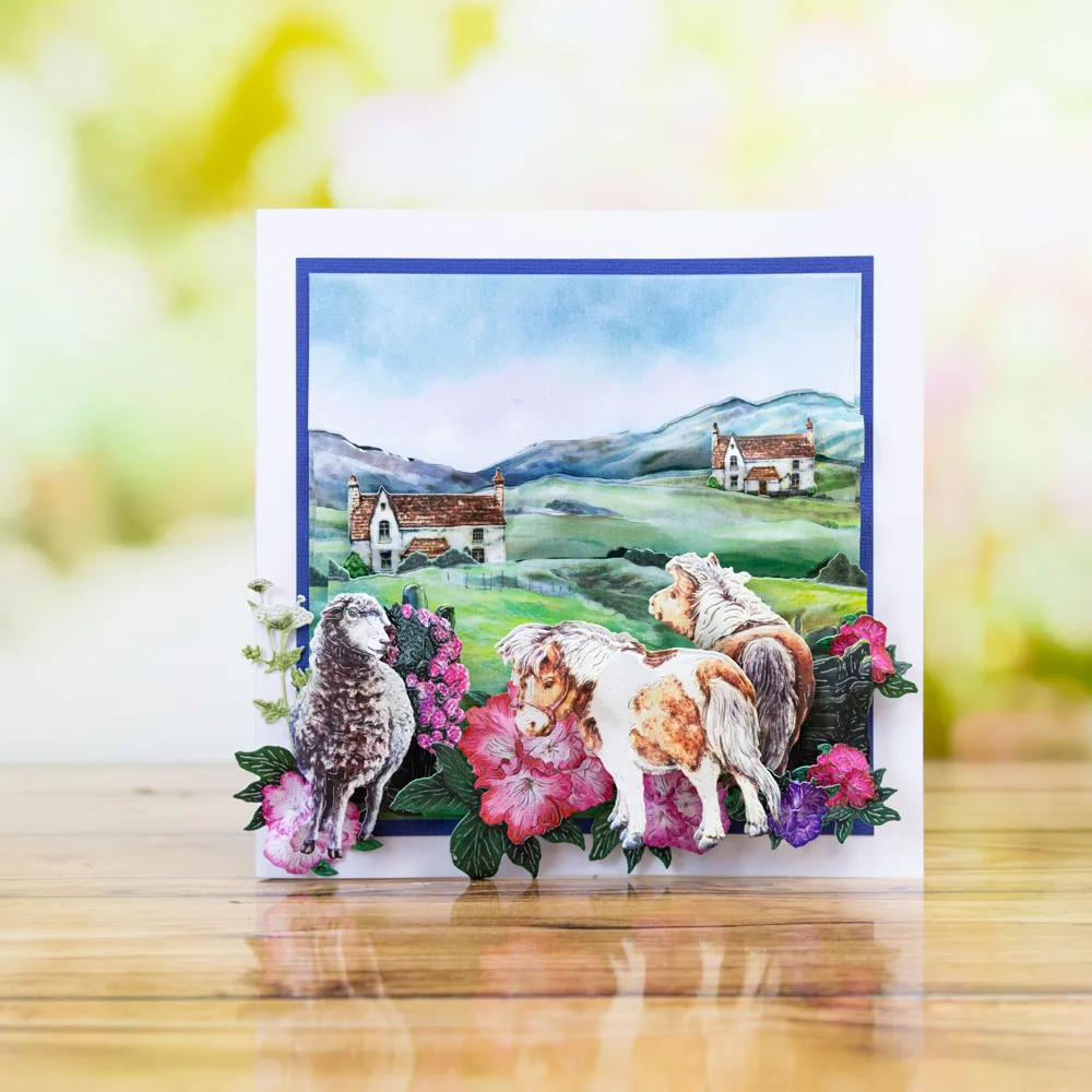 Rambler’s Paradise Wildflowers – Furniture Paradise & Hardware Ghaziabad By Owner Bewertung und Preis