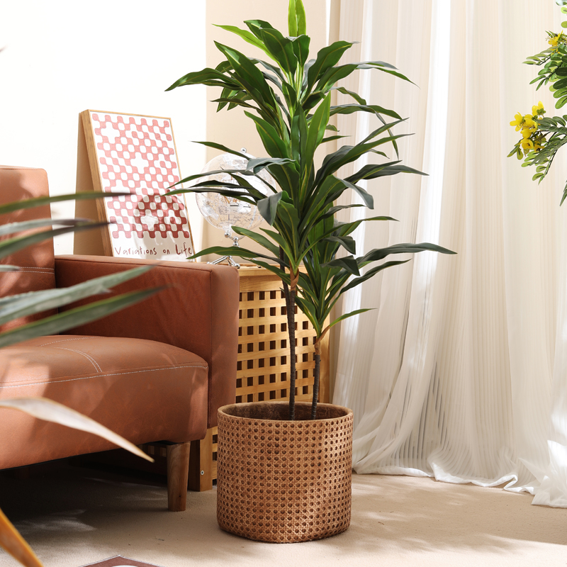 Möbel für kleine Wohnungen, ra – Furniture Paradise & Hardware Ghaziabad By Owner Bewertung und Preis